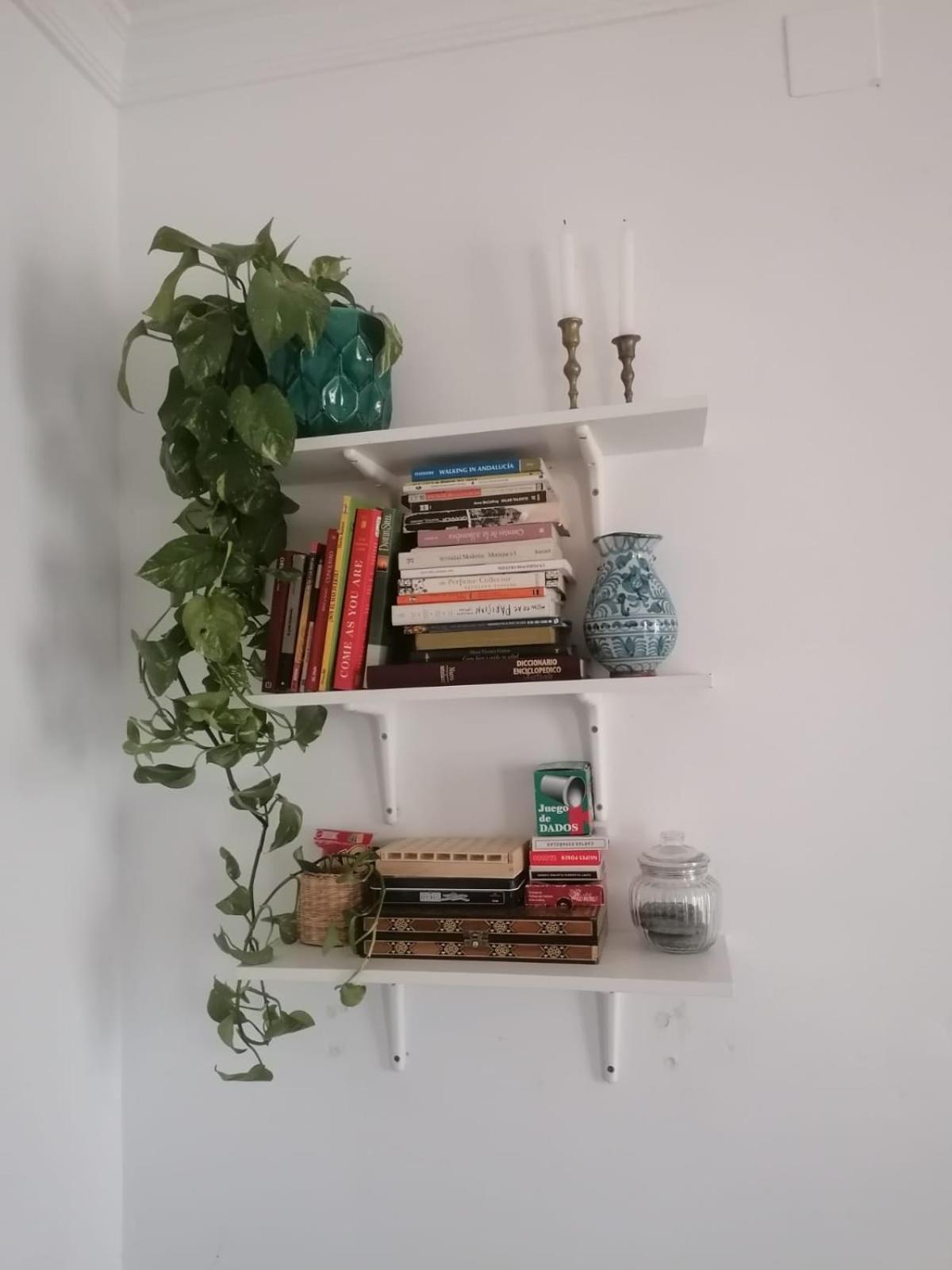 Apartamento Catedra Granada Dış mekan fotoğraf